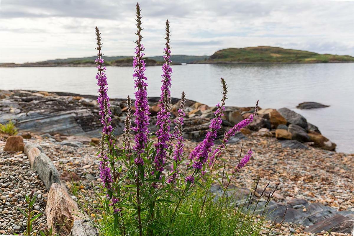 Lunga House Beach Lodges Craobh Haven Exterior photo